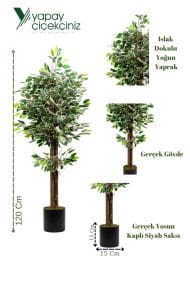 120 Cm Yeşil Beyaz Yapay Benjamin Ağacı - Görsel 5