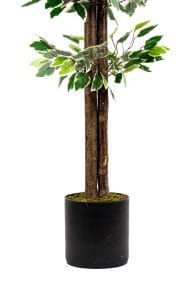 120 Cm Yeşil Beyaz Yapay Benjamin Ağacı - Görsel 8