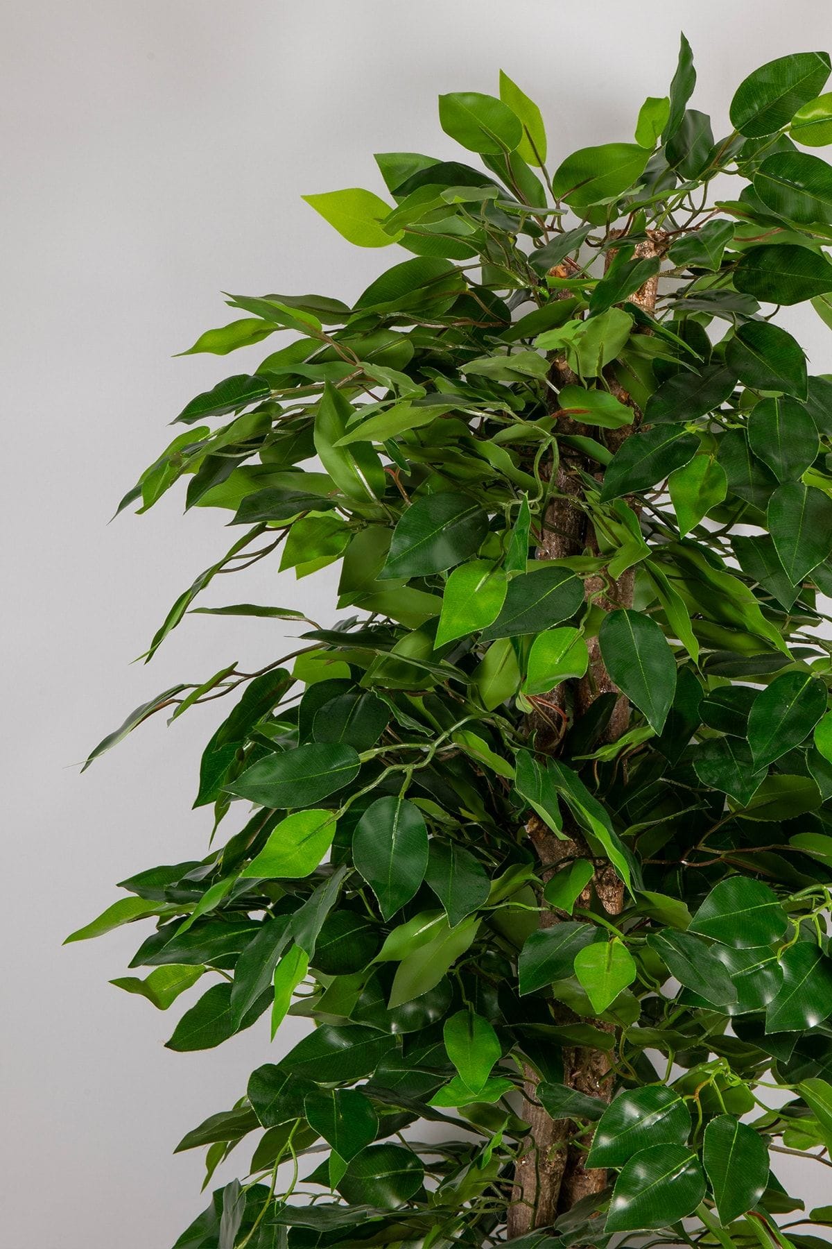 140-cm-yapay-benjamin-agaci-1819.jpg 140 cm Yapay Benjamin Ağacı - Görsel 2