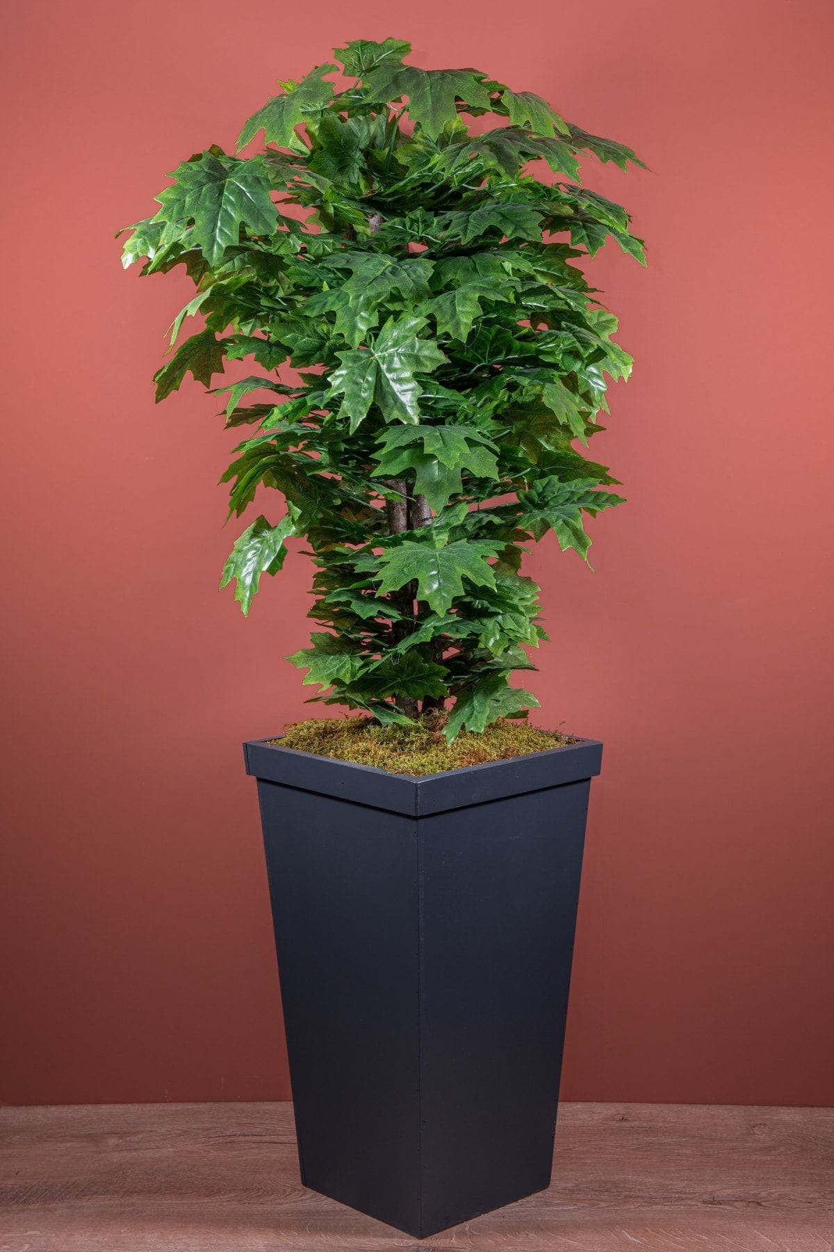 140-cm-yesil-cinar-agaci-1723.jpg 140 Cm Yeşil Çınar Ağacı - Görsel 1