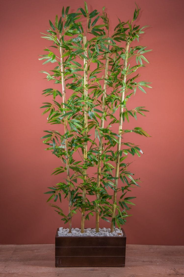 170 Cm Bambu Seperatör