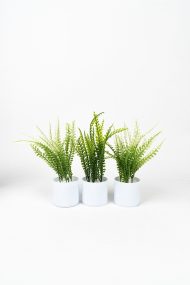 3 Adet Mini Beyaz Saksıda Yapay Çiçek Seti - Görsel 4