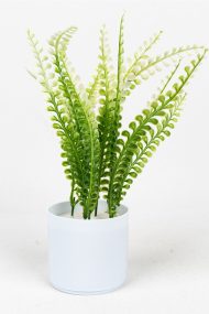 3 Adet Mini Beyaz Saksıda Yapay Çiçek Seti - Görsel 5