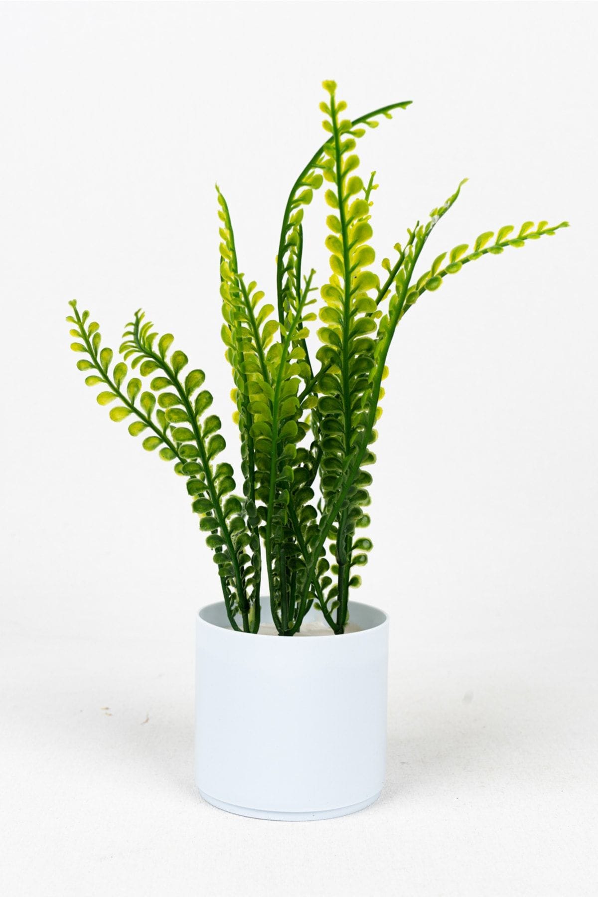 3-adet-mini-beyaz-saksida-yapay-cicek-seti-786.jpg 3 Adet Mini Beyaz Saksıda Yapay Çiçek Seti - Görsel 6