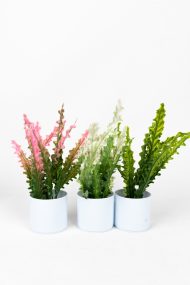 3 Adet Mini Beyaz Saksıda Yapay Çiçek Seti - Görsel 11