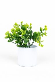 3 Adet Mini Beyaz Saksıda Yapay Çiçek Seti - Görsel 16