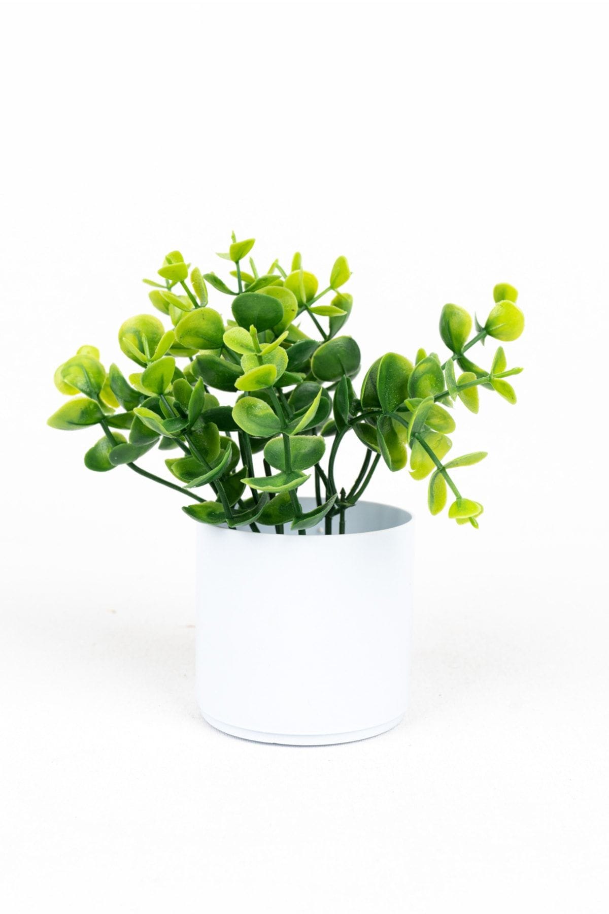 3-adet-mini-beyaz-saksida-yapay-cicek-seti-796.jpg 3 Adet Mini Beyaz Saksıda Yapay Çiçek Seti - Görsel 16