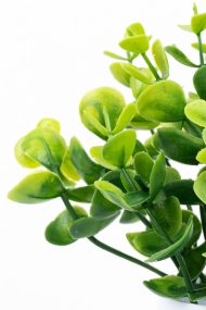 3 Adet Mini Beyaz Saksıda Yapay Çiçek Seti - Görsel 17