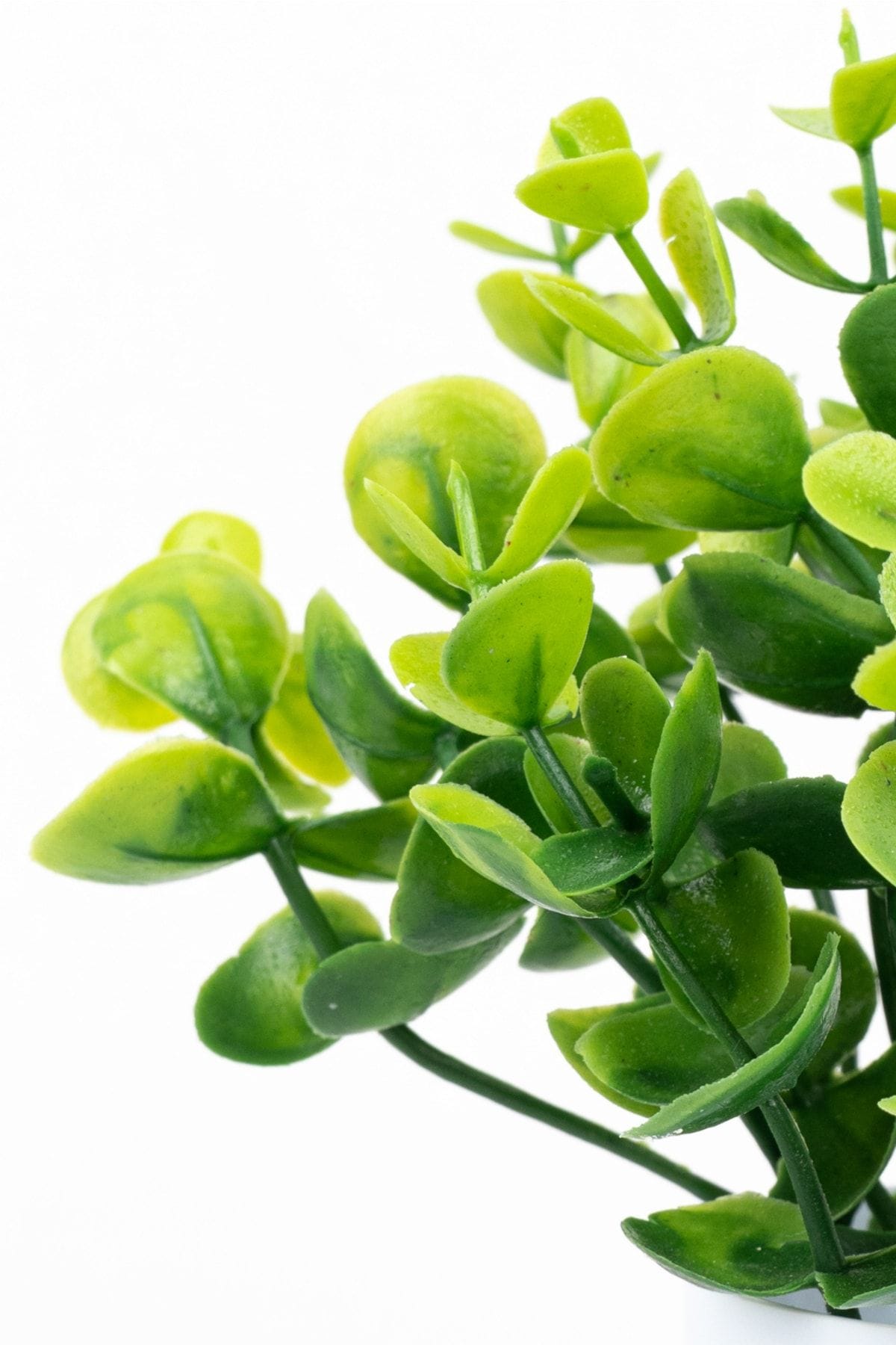 3-adet-mini-beyaz-saksida-yapay-cicek-seti-797.jpg 3 Adet Mini Beyaz Saksıda Yapay Çiçek Seti - Görsel 17