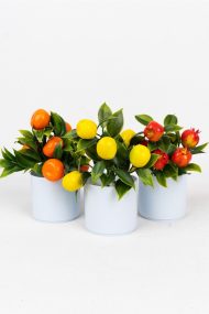 3 Adet Mini Beyaz Saksıda Yapay Çiçek Seti - Görsel 18