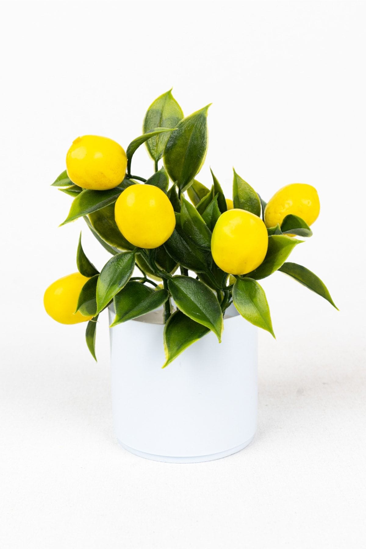 3-adet-mini-beyaz-saksida-yapay-cicek-seti-799.jpg 3 Adet Mini Beyaz Saksıda Yapay Çiçek Seti - Görsel 19