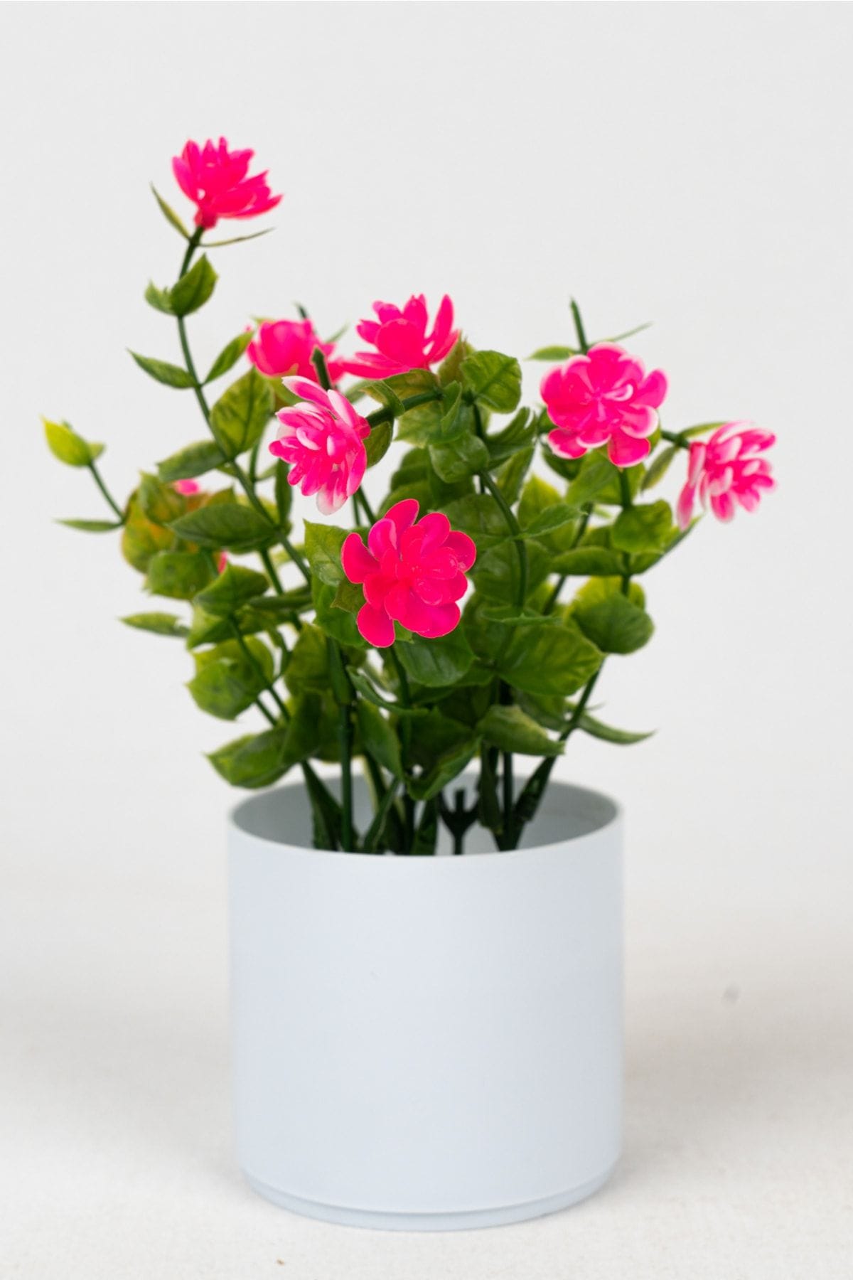 3-adet-mini-beyaz-saksida-yapay-cicek-seti-804.jpg 3 Adet Mini Beyaz Saksıda Yapay Çiçek Seti - Görsel 24