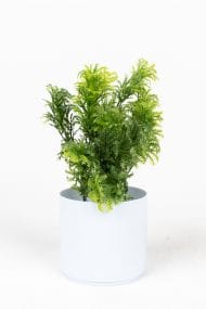 3 Adet Mini Beyaz Saksıda Yapay Çiçek Seti - Görsel 28