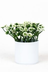 3 Adet Mini Beyaz Saksıda Yapay Çiçek Seti - Görsel 29