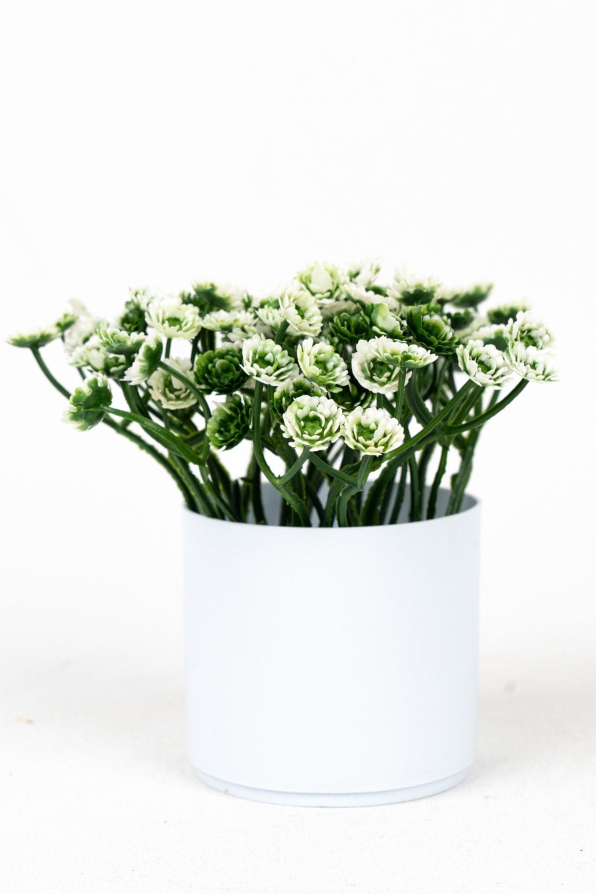 3-adet-mini-beyaz-saksida-yapay-cicek-seti-809.jpg 3 Adet Mini Beyaz Saksıda Yapay Çiçek Seti - Görsel 29