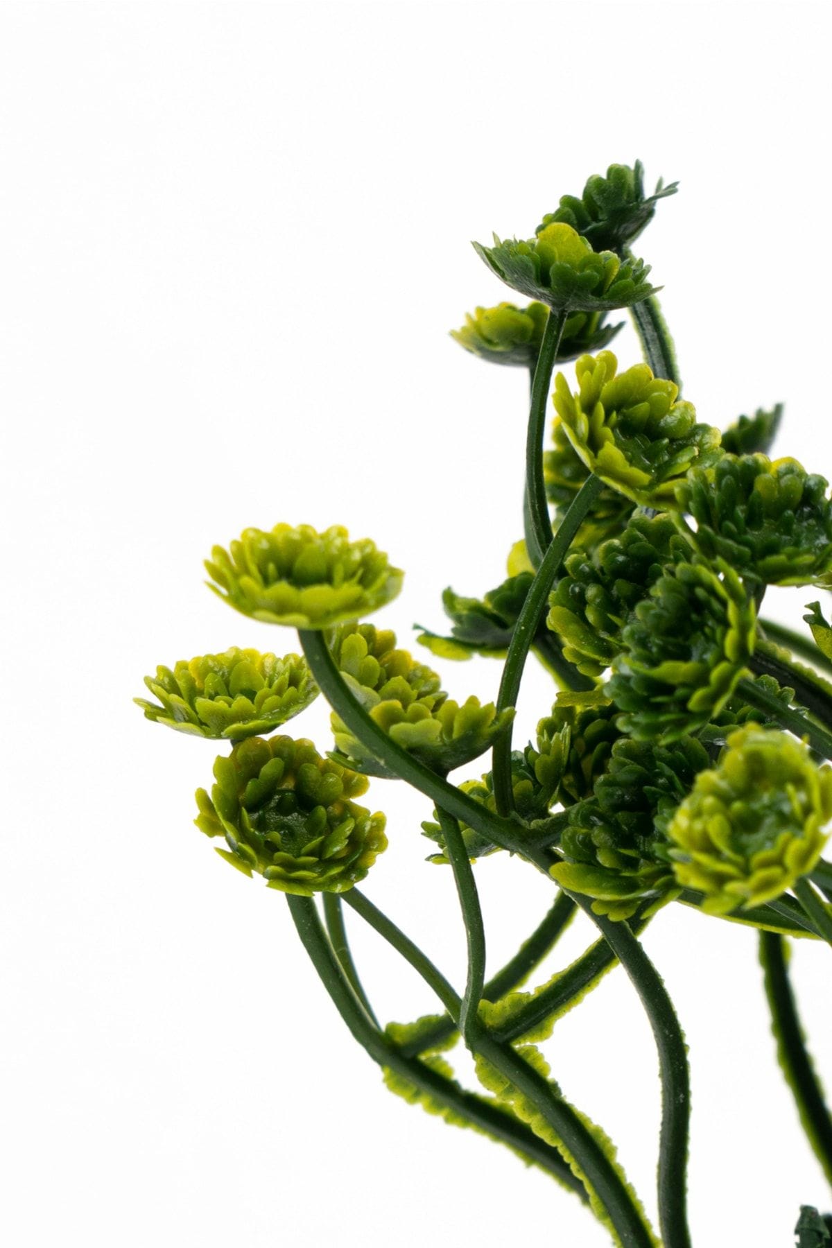 3-adet-mini-beyaz-saksida-yapay-cicek-seti-810.jpg 3 Adet Mini Beyaz Saksıda Yapay Çiçek Seti - Görsel 30