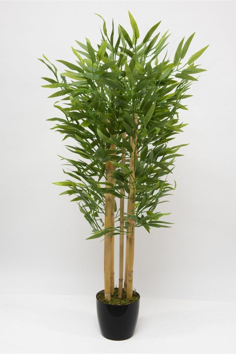 5 Gövdeli Yoğun Yapraklı 100 cm Yapay Bambu Ağacı