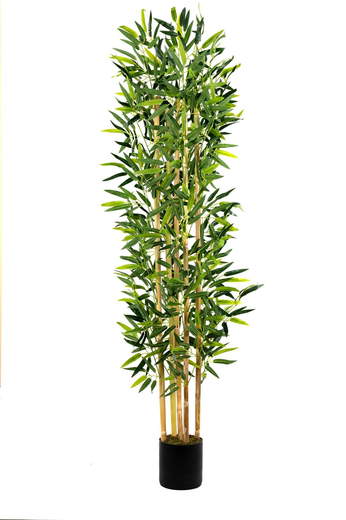 5-govdeli-yogun-yaprakli-150-cm-yapay-bambu-agaci-1531.jpg 5 Gövdeli Yoğun Yapraklı 150 Cm Yapay Bambu Ağacı - Görsel 1