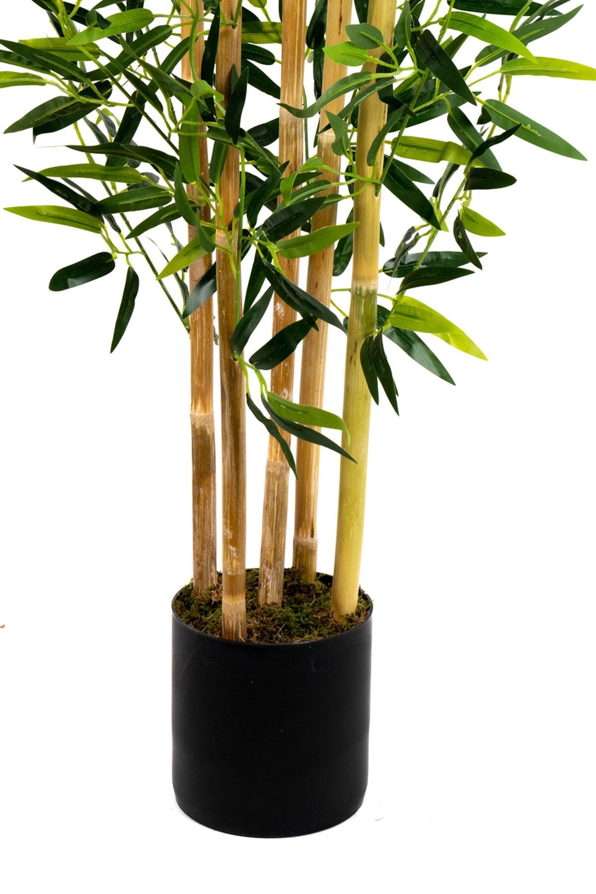 5-govdeli-yogun-yaprakli-150-cm-yapay-bambu-agaci-1534.jpg 5 Gövdeli Yoğun Yapraklı 150 Cm Yapay Bambu Ağacı - Görsel 4