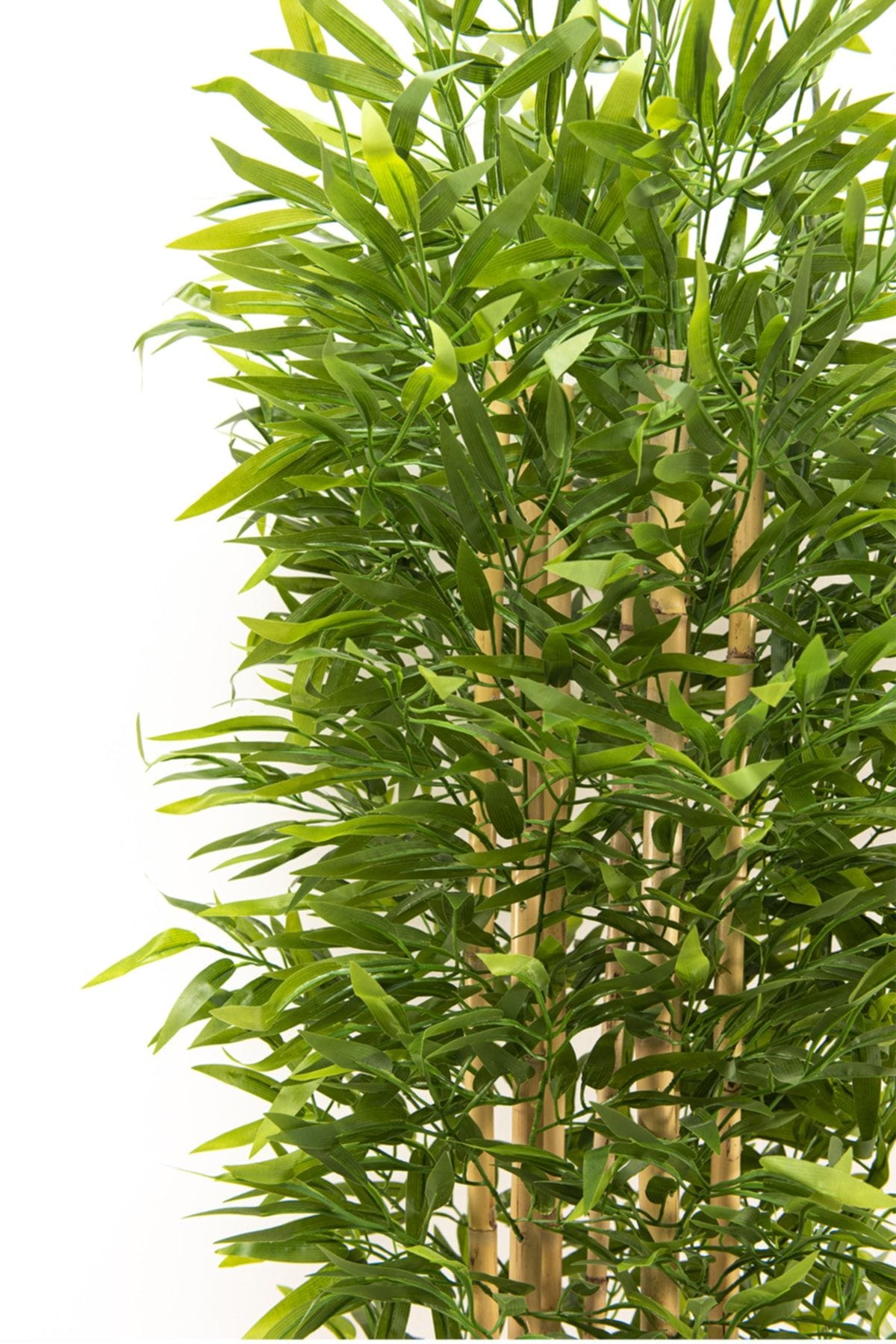 7-govdeli-yogun-yaprakli-180-cm-yapay-bambu-agaci-1524.jpg 7 Gövdeli Yoğun Yapraklı 180 Cm Yapay Bambu Ağacı - Görsel 2