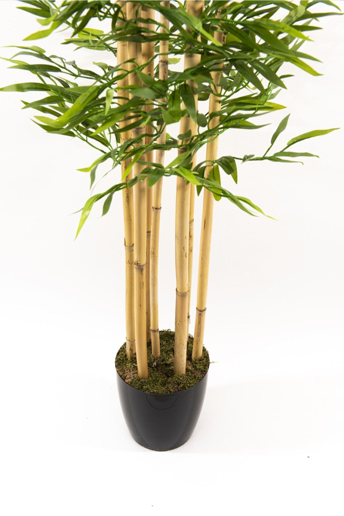 7-govdeli-yogun-yaprakli-180-cm-yapay-bambu-agaci-1525.jpg 7 Gövdeli Yoğun Yapraklı 180 Cm Yapay Bambu Ağacı - Görsel 3