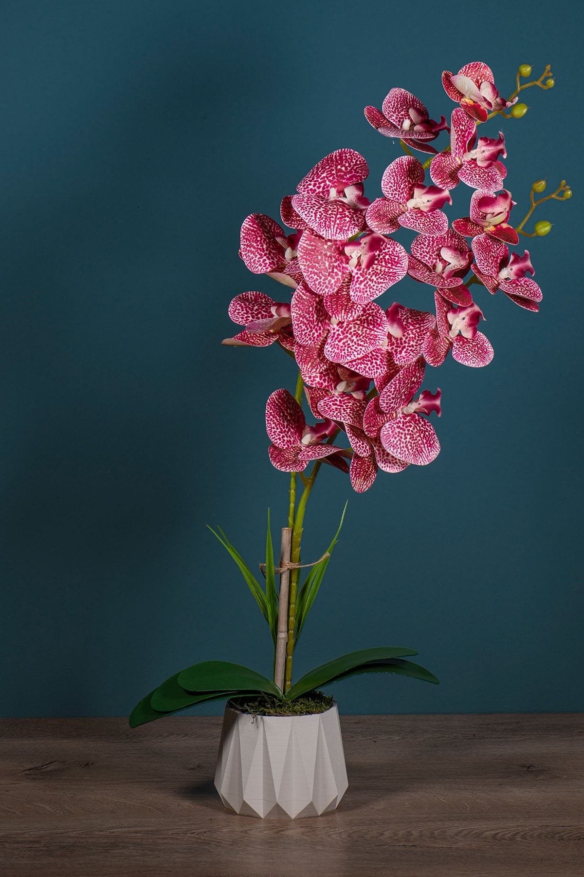 beton-saksida-2-dal-islak-yapay-orkide-1849.jpg Beton Saksıda 2 Dal Islak Yapay Orkide - Görsel 1