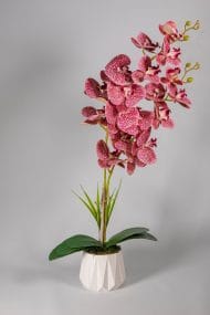 Beton Saksıda 2 Dal Islak Yapay Orkide - Görsel 2