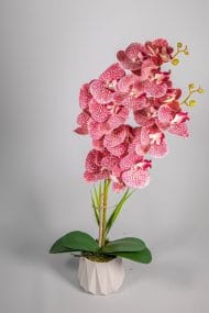 Beton Saksıda 2 Dal Islak Yapay Orkide - Görsel 3