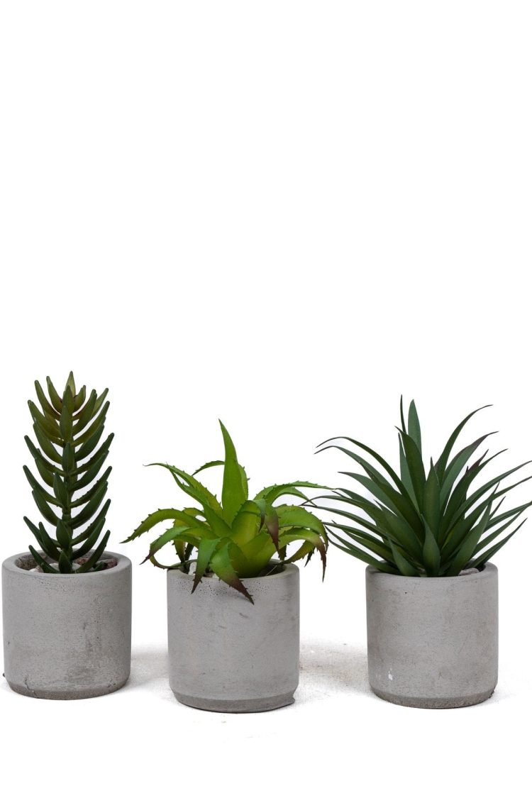 Beton Saksıda Yapay 3'lü Kaktüs Seti
