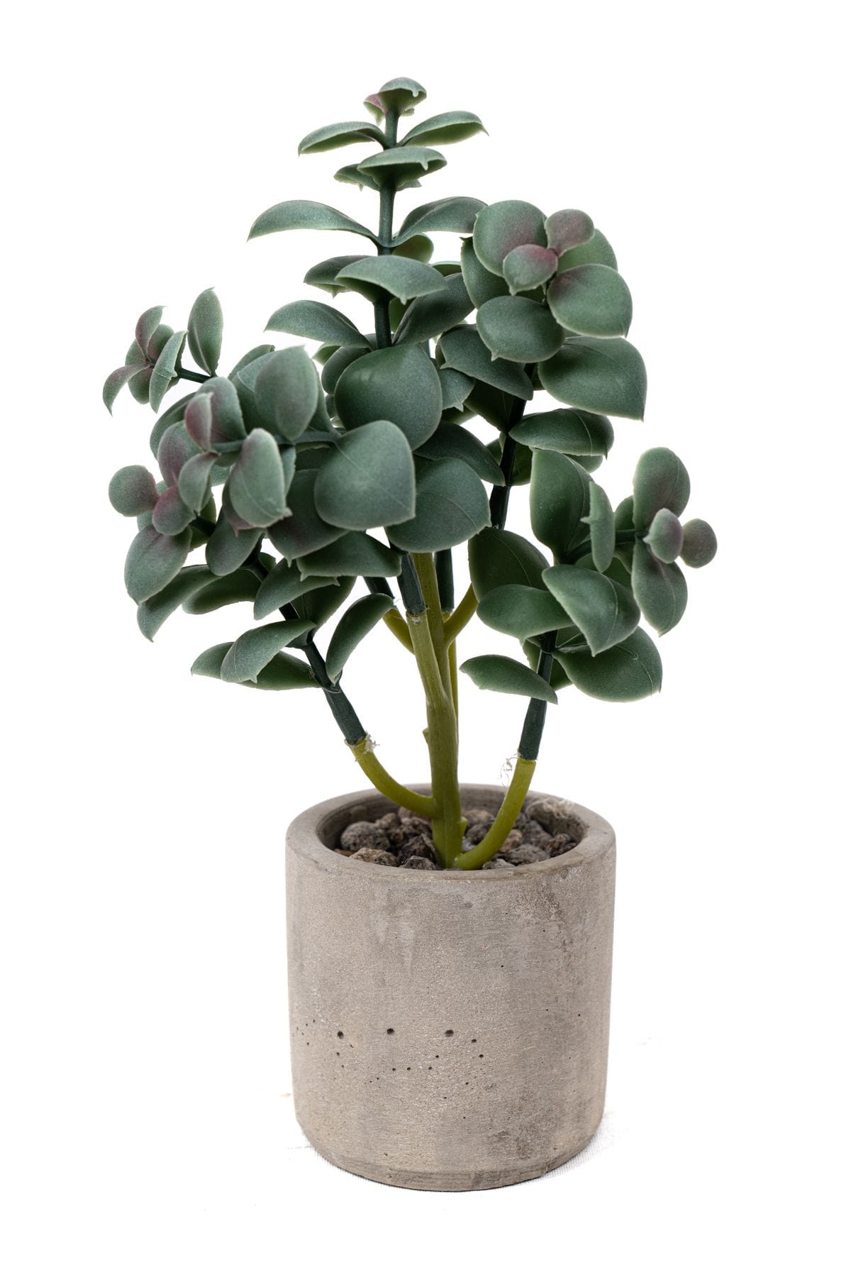 beton-saksida-yapay-kaktus-290.jpg Beton Saksıda Yapay Kaktüs - Görsel 1