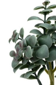 Beton Saksıda Yapay Kaktüs - Görsel 2