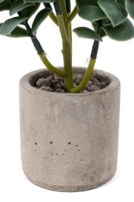 Beton Saksıda Yapay Kaktüs - Görsel 3