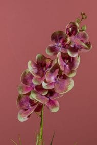 Beyaz Renkli Saksıda Tek Dal Yapay Islak Orkide - Görsel 2