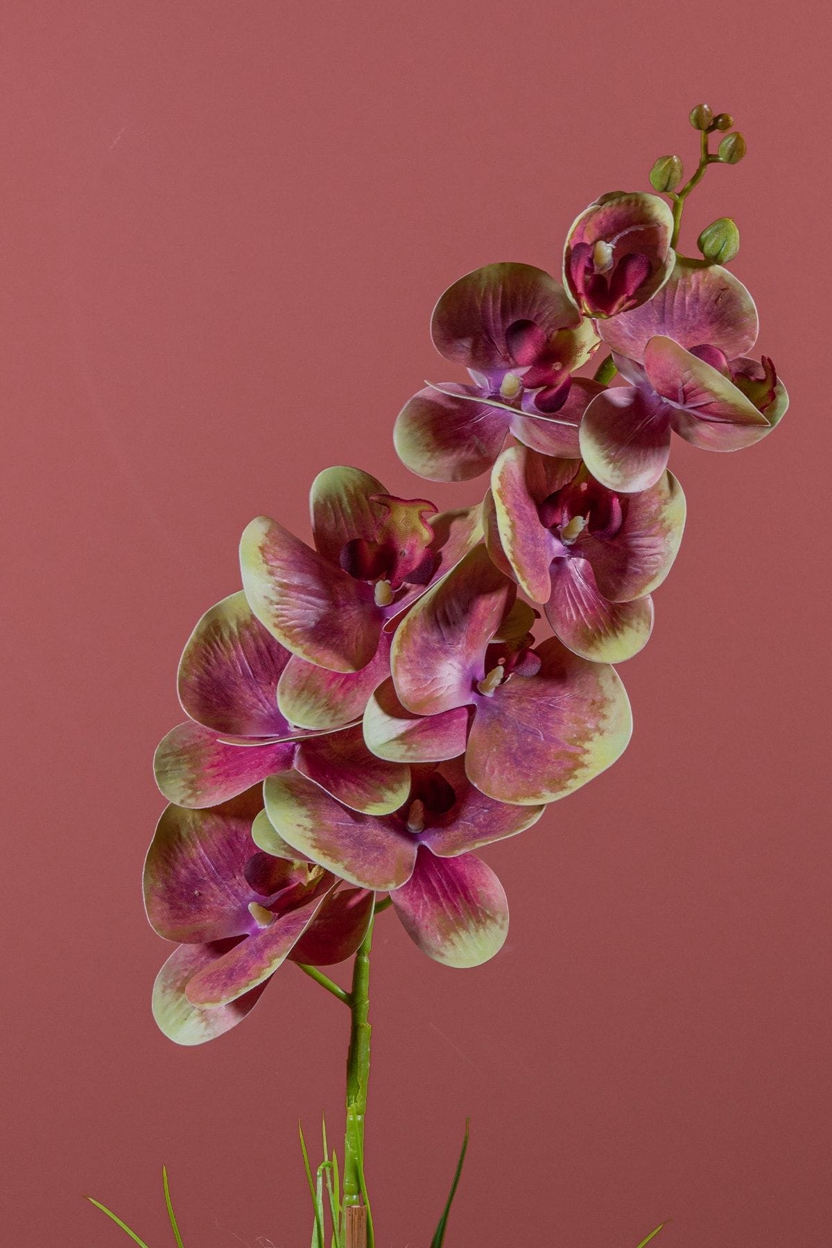 beyaz-renkli-saksida-tek-dal-yapay-islak-orkide-1631.jpg Beyaz Renkli Saksıda Tek Dal Yapay Islak Orkide - Görsel 2