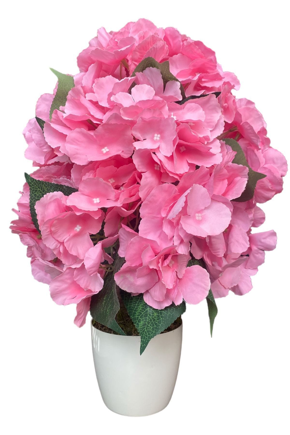 beyaz-saksida-yapay-ortanca-agaci-40-cm-1128.jpg BEYAZ SAKSIDA YAPAY ORTANCA AĞACI 40 CM - Görsel 1