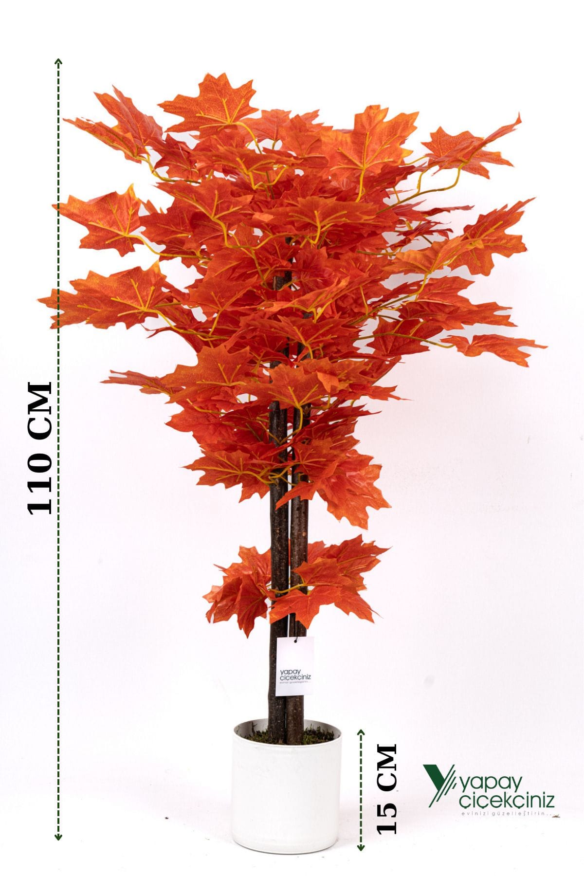 cim-detayli-saksida-110-cm-yapay-cinar-agaci-813.jpg Çim Detaylı Saksıda 110 Cm Yapay Çınar Ağacı - Görsel 1