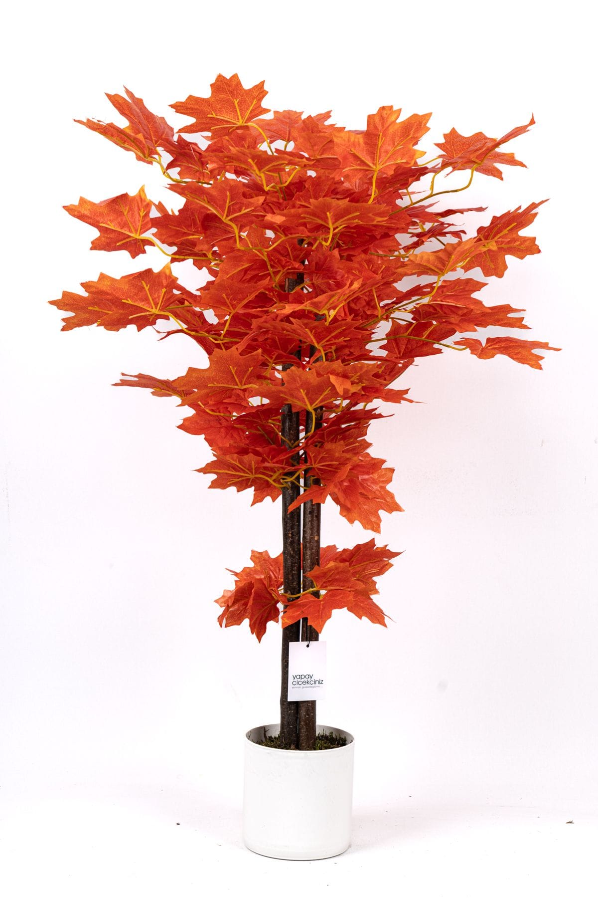 cim-detayli-saksida-110-cm-yapay-cinar-agaci-814.jpg Çim Detaylı Saksıda 110 Cm Yapay Çınar Ağacı - Görsel 2