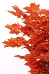 Çim Detaylı Saksıda 110 Cm Yapay Çınar Ağacı - Görsel 3