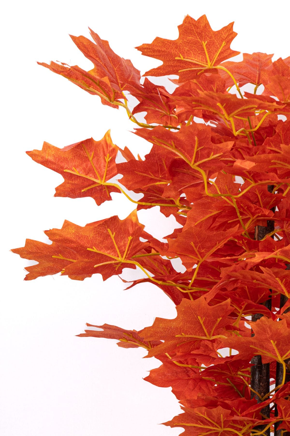 cim-detayli-saksida-110-cm-yapay-cinar-agaci-815.jpg Çim Detaylı Saksıda 110 Cm Yapay Çınar Ağacı - Görsel 3