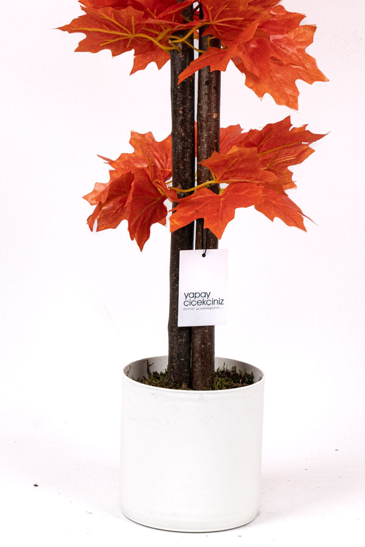 cim-detayli-saksida-110-cm-yapay-cinar-agaci-816.jpg Çim Detaylı Saksıda 110 Cm Yapay Çınar Ağacı - Görsel 4