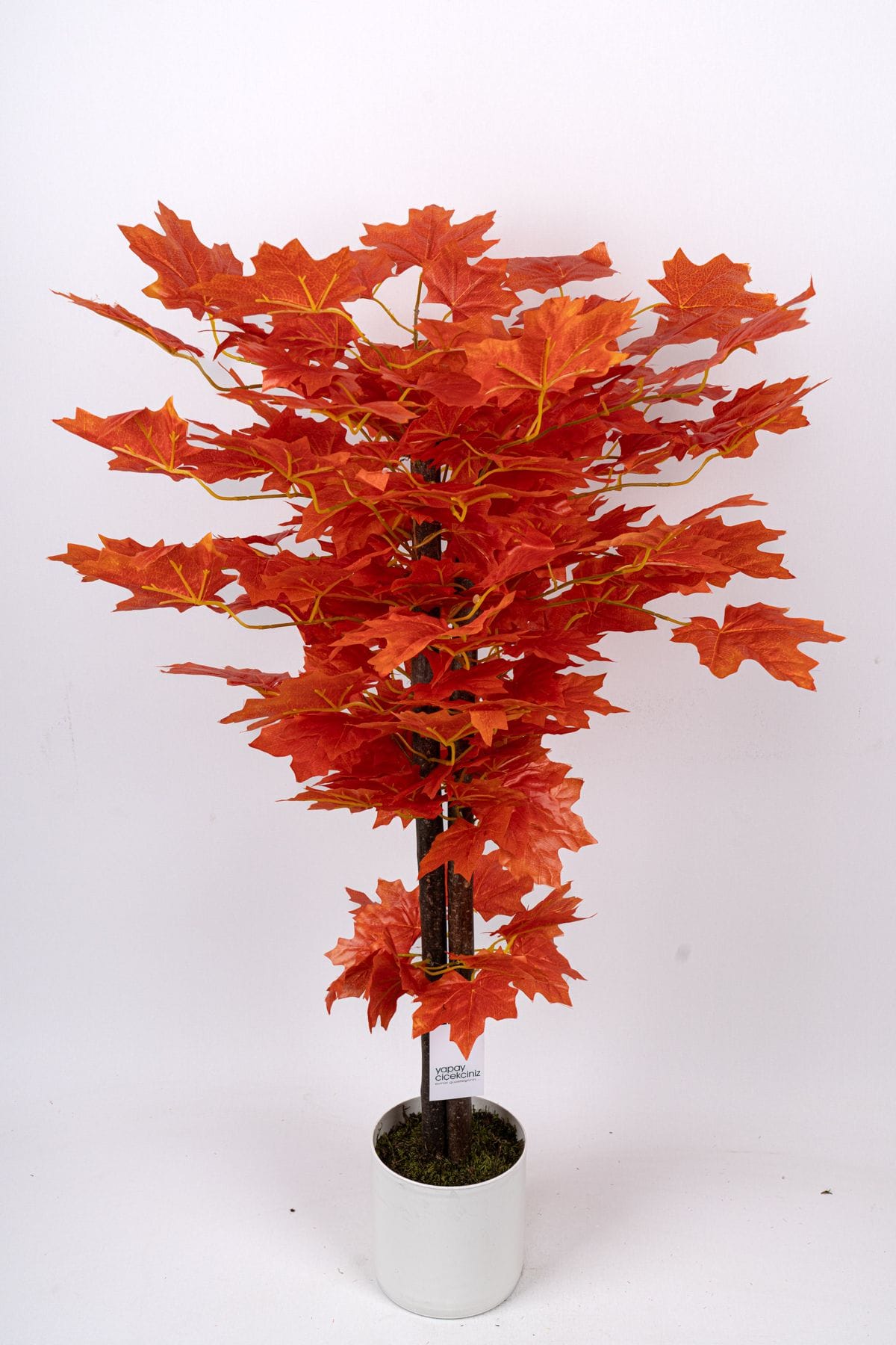 cim-detayli-saksida-110-cm-yapay-cinar-agaci-817.jpg Çim Detaylı Saksıda 110 Cm Yapay Çınar Ağacı - Görsel 5