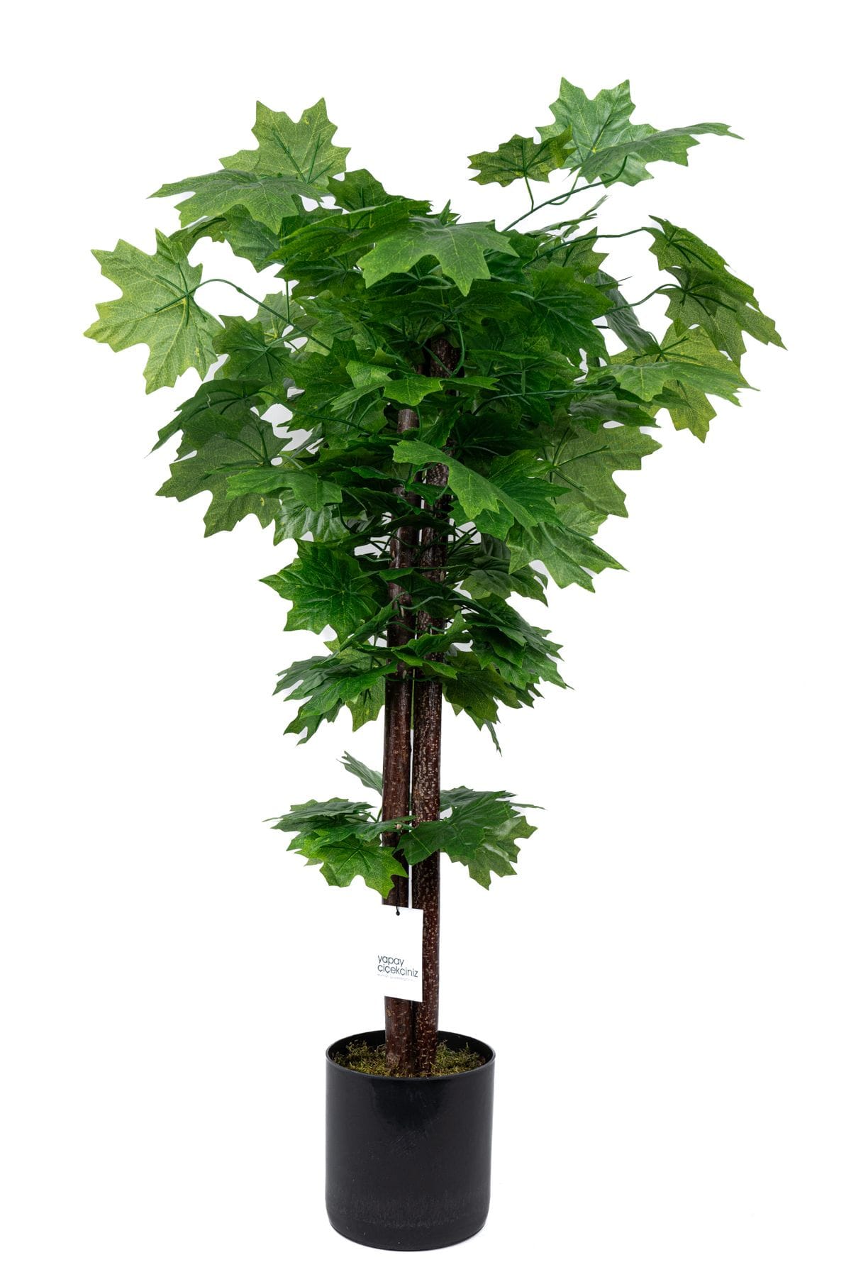 cim-detayli-saksida-110-cm-yapay-cinar-agaci-819.jpg Çim Detaylı Saksıda 110 Cm Yapay Çınar Ağacı - Görsel 7