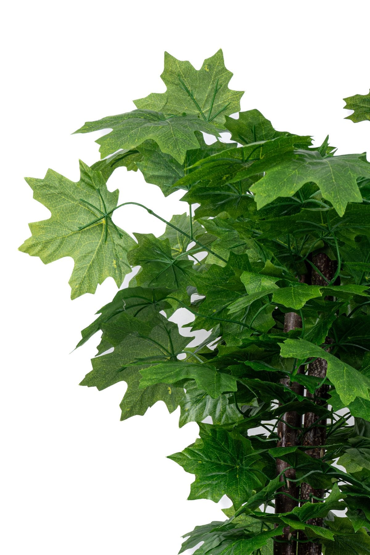 cim-detayli-saksida-110-cm-yapay-cinar-agaci-820.jpg Çim Detaylı Saksıda 110 Cm Yapay Çınar Ağacı - Görsel 8