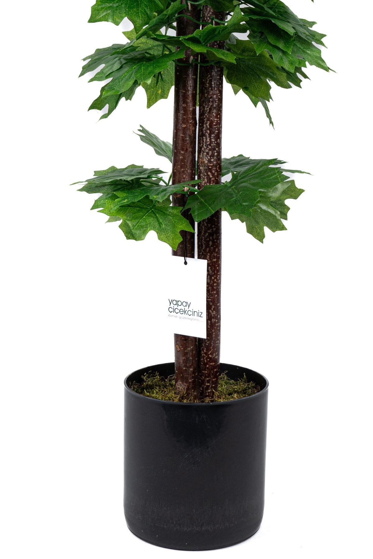 cim-detayli-saksida-110-cm-yapay-cinar-agaci-821.jpg Çim Detaylı Saksıda 110 Cm Yapay Çınar Ağacı - Görsel 9