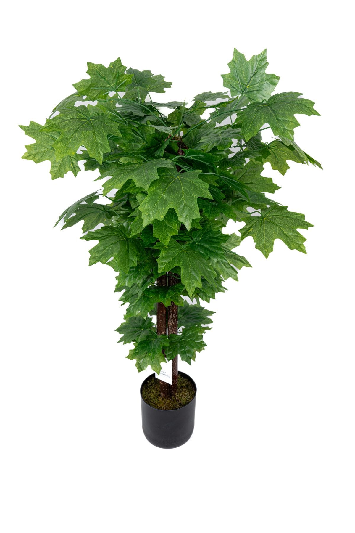 cim-detayli-saksida-110-cm-yapay-cinar-agaci-822.jpg Çim Detaylı Saksıda 110 Cm Yapay Çınar Ağacı - Görsel 10