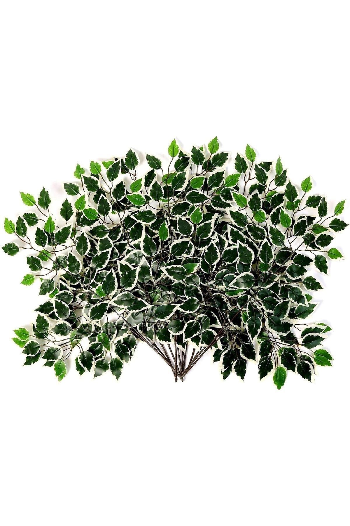 islak-gorunumlu-yapay-benjamin-yapragi-12-adet-977.jpg Islak Görünümlü Yapay Benjamin Yaprağı 12 Adet - Görsel 1