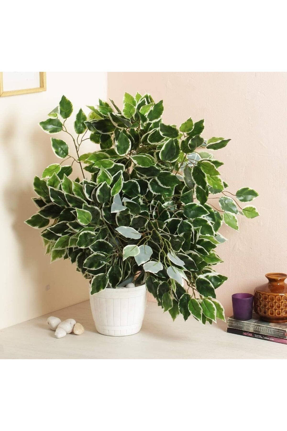 islak-gorunumlu-yapay-benjamin-yapragi-12-adet-978.jpg Islak Görünümlü Yapay Benjamin Yaprağı 12 Adet - Görsel 2