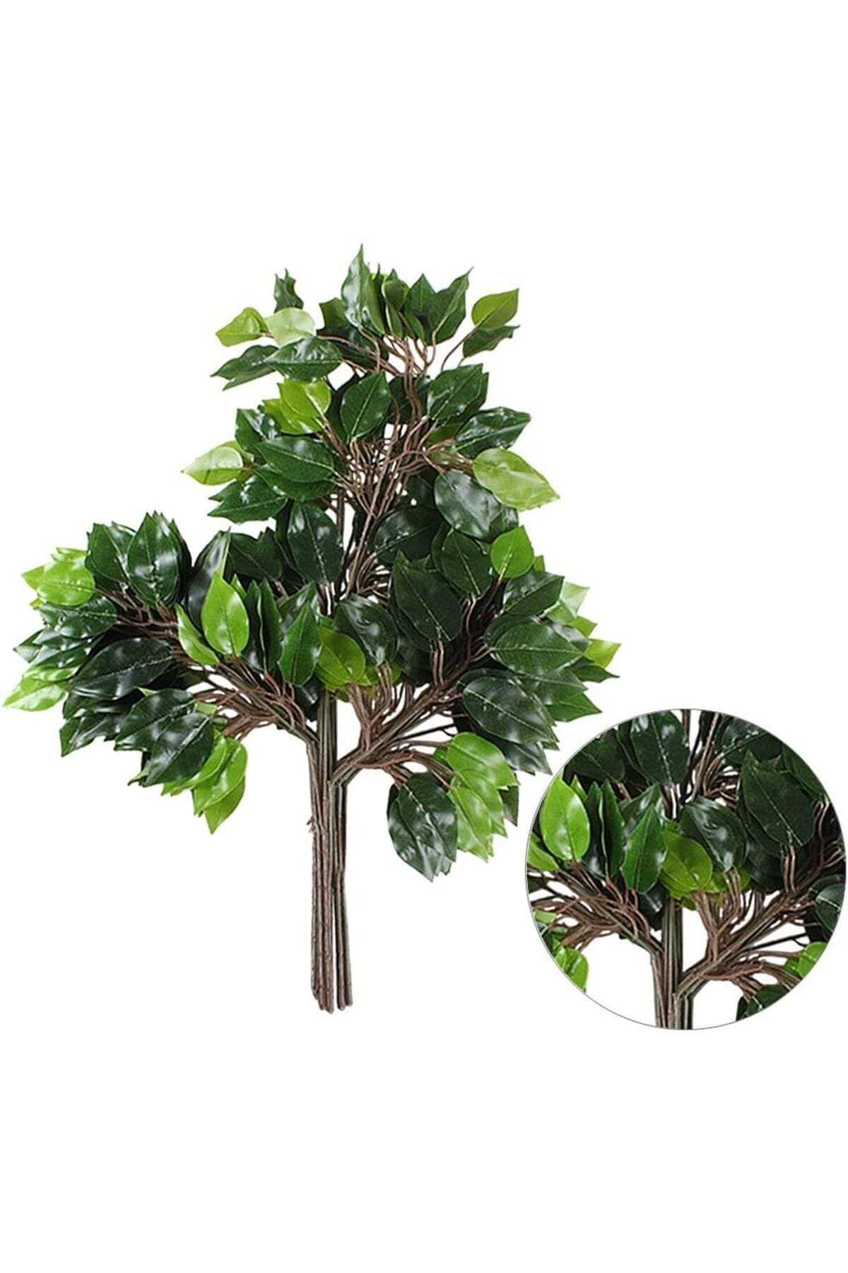 islak-gorunumlu-yapay-benjamin-yapragi-12-adet-980.jpg Islak Görünümlü Yapay Benjamin Yaprağı 12 Adet - Görsel 4