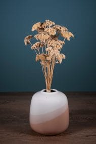 Naturel Renk Kayu Otu - Görsel 3