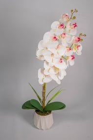 Seramik Saksıda 2 Dal Yapay Islak Orkide - Görsel 2